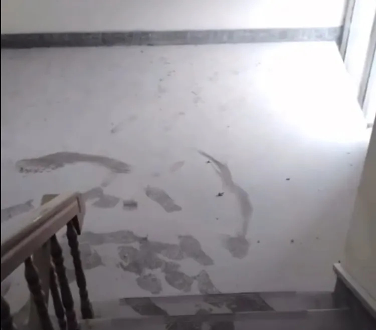 大樓樓梯間都是厚厚粉塵，引發住戶健康疑慮。戴瑋姍服務處提供