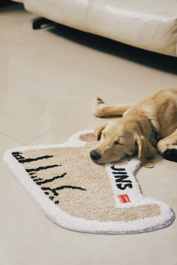 台灣導盲犬的數量遠低於國際標準，期待社會更加理解導盲犬對視障者的重要性，並給予支持與幫助