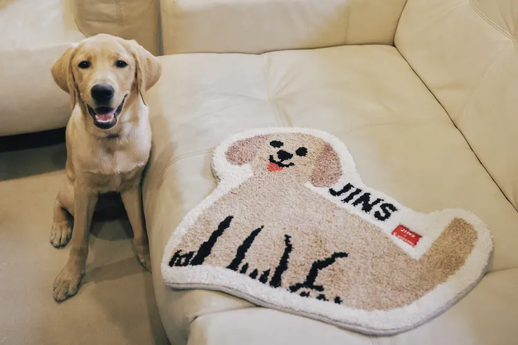 毛孩地毯將於11月13日正式販售，公益價$580，收入全數捐贈導盲犬協會，幫助更多導盲犬接受訓練，進一步滿足台灣視障者的需求