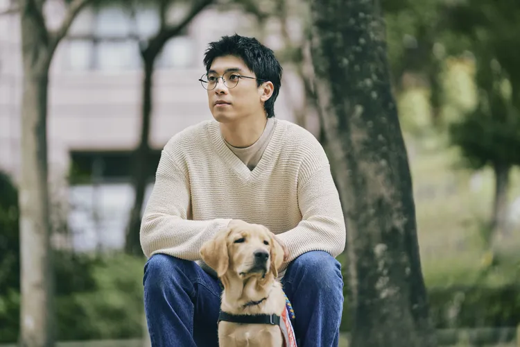 導盲犬不僅僅是一隻工作犬，更像是親密的家人和朋友