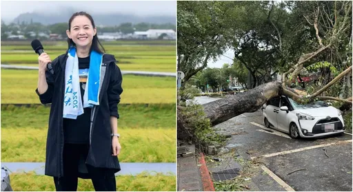 曾寶儀早有不祥預感 見颱風後路上慘況「忍不住眼眶紅」