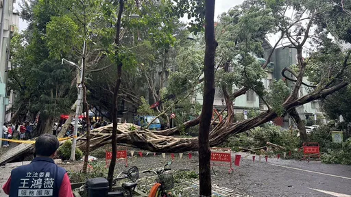 台北該放颱風修復假？　商總理事長「你又沒去搬樹放什麼假」