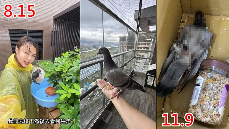 張懷媗和小鴿哥的緣分不到3個月戛然而止。翻攝張懷媗臉書