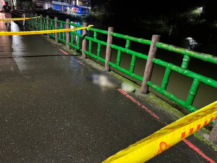 宋女翻越欄杆墜湖。警方提供