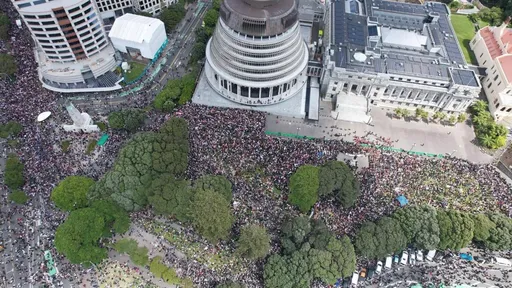 毛利族權益遭削弱　4萬人擠爆紐西蘭國會