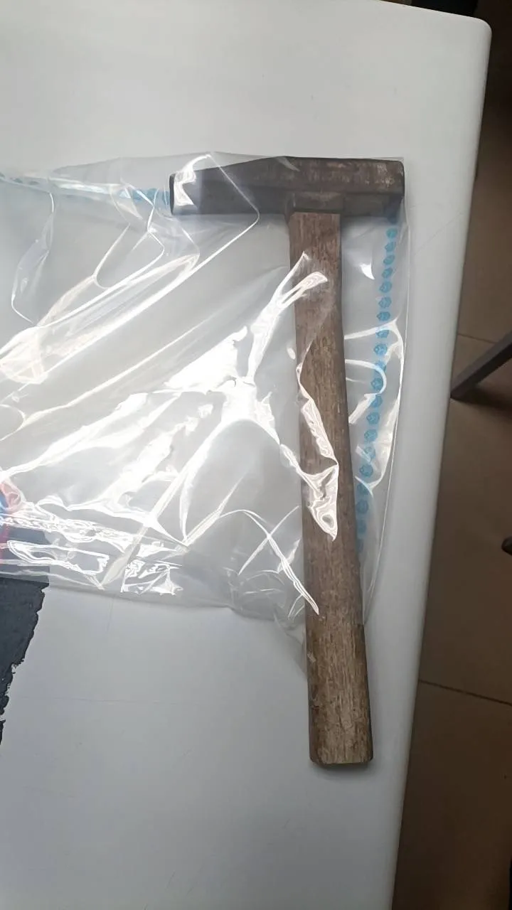 本案鐵鎚。警方提供
