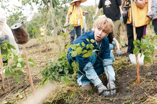 大元快看!繼金城武、蔡依林⋯鼓鼓也有樹了