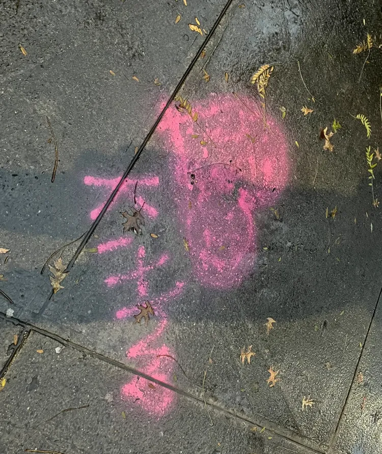 比特犬基斯被從14樓丟下後的死亡地點。翻攝自X@nypost