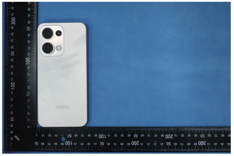 OPPO代號CPH2689機種現身NCC審核通過頁面。翻攝NCC網站