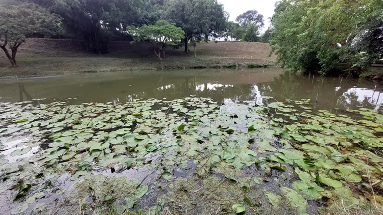 高雄高爾夫球場去年租約即到期，因業者多項違規又占用，市府決定不續租，將強制收回還地於民。凃建豐攝