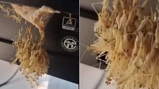 密集恐懼症!她公司電腦螢幕背後 竟然生出一窩螳螂寶寶