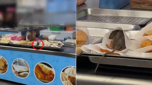 米奇溜早餐店櫃檯用餐「薯餅變鼠餅」 網驚:料理鼠王隨機抽查