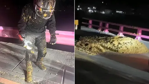 重機夜飆山道擾人 屎定了!居民「正好」掉落超大坨豬糞封路