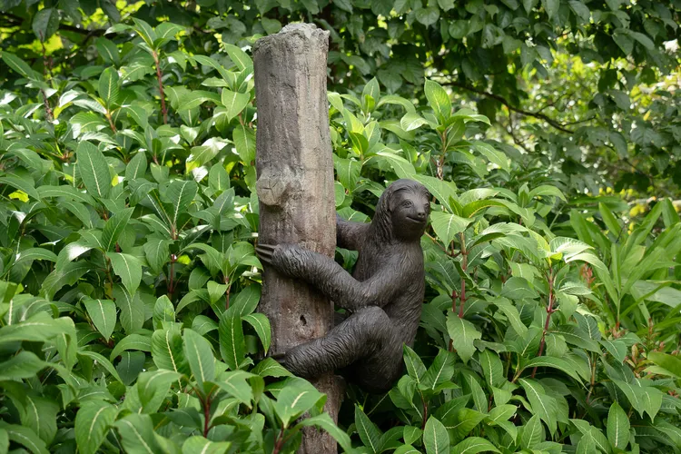 灌木叢藏有樹獺雕塑悄悄觀察路過的遊客。台北市立動物園提供
