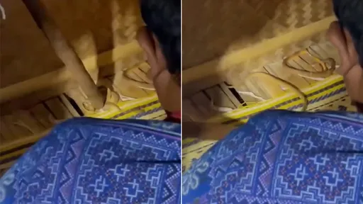 她睡山區民宿「枕頭下在動」 竟是一群蛇搶先入住了