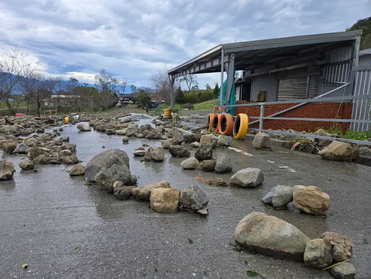 大量石頭從金針園區上方沖到馬路上，金針園區環狀道路寸步難行。李光濱攝