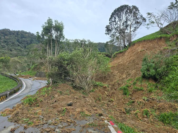 小瑞士農場的金針花田遭河道灌穿金針園上的樹整個滑落到道路上。李光濱攝
