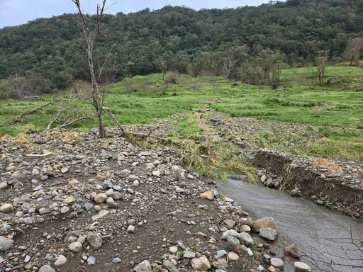 怪颱康芮豪雨肆虐赤科山 山林像是被開了河道灌穿金針花田