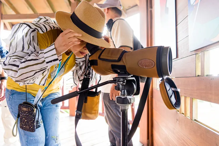 茄萣濕地尋找黑面琵鷺蹤跡。觀光局提供