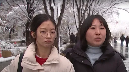 韩国连2天罕见暴雪至少4死 航班取消渡轮停摆