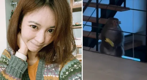 陳意涵家又被猴子闖入亂丟香蕉皮!互相對視以為在演《猩球崛起》