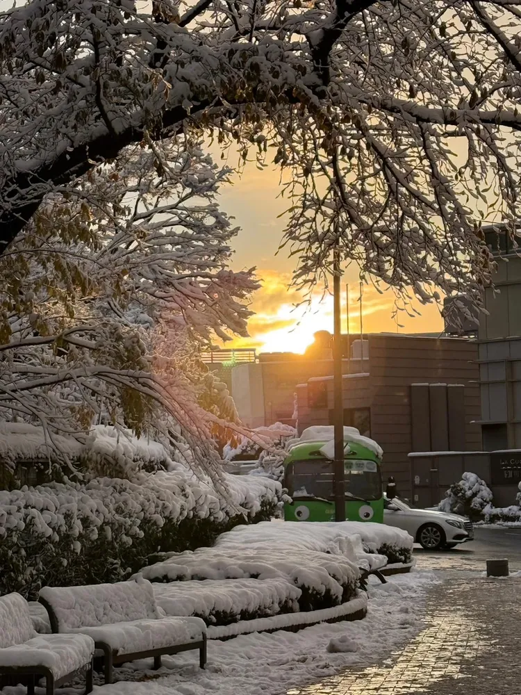 首爾大雪景色。讀者提供