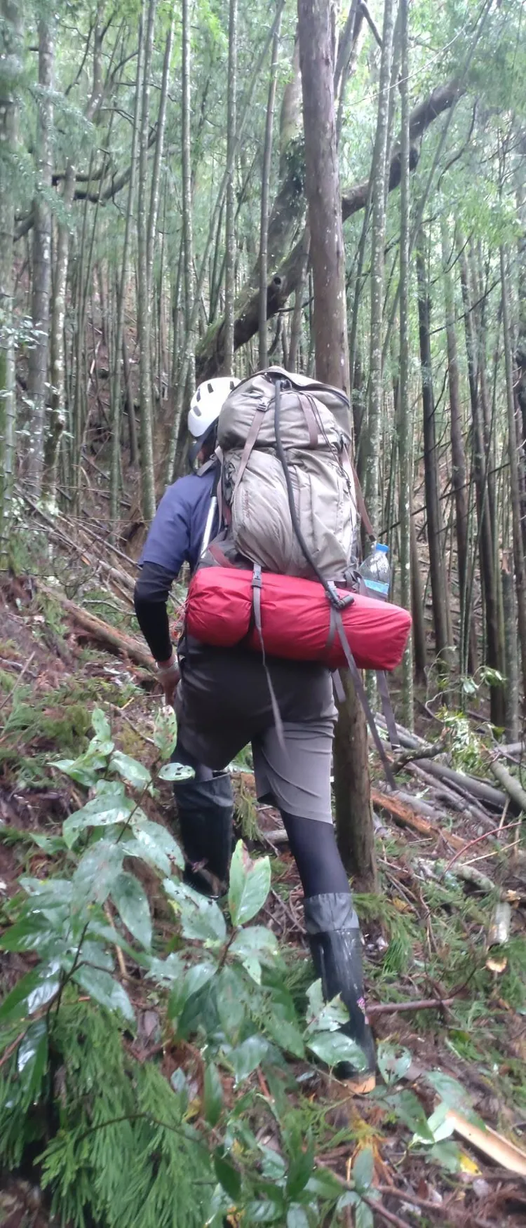 第一天搜救行動並無所獲。民眾提供