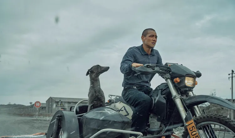 彭于晏在《狗陣》頂著俐落光頭，造型及演出均極具顛覆性。海鵬影業提供