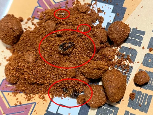 噁!辣椒粉罐竟藏多隻蟑螂和蛋 頂呱呱致歉:即日禁供粉罐調味