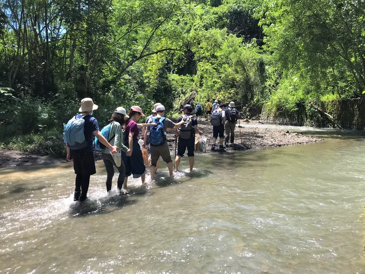 走踏湯姆生文化路徑吸收芬多精，也能體驗溯溪的樂趣。客委會提供