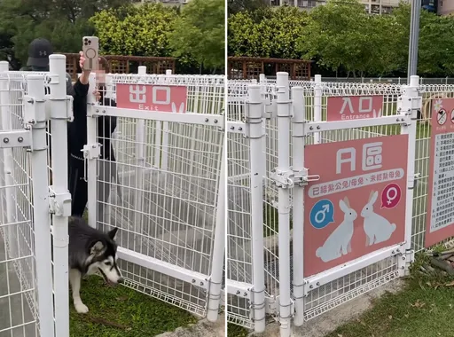 带狗硬闯台中宠物兔公园 饲主遭劝阻还反呛!市府:加强宣导