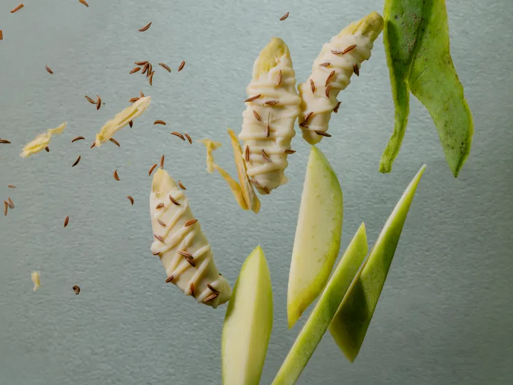 療癒果物系列_香料青芒果。業者提供