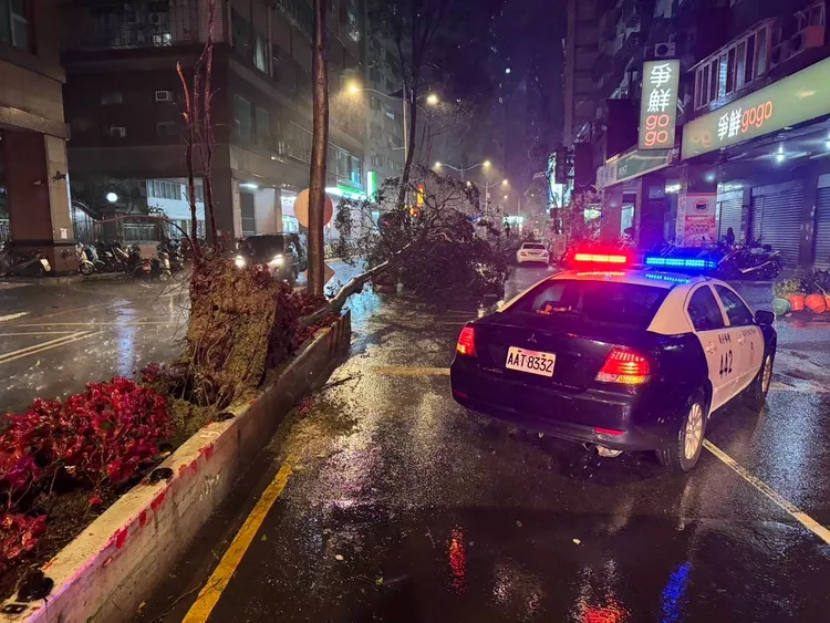 颱風導致新北不少路樹倒塌。警方提供