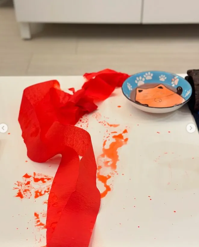 拋彩帶不小心掉進寵物水盤。翻攝吳婉君臉書