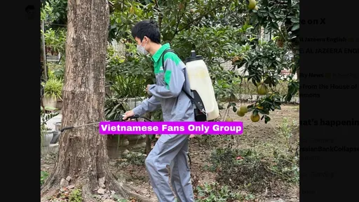 胡志明市登革熱今年破萬例 疫情恐持續升溫