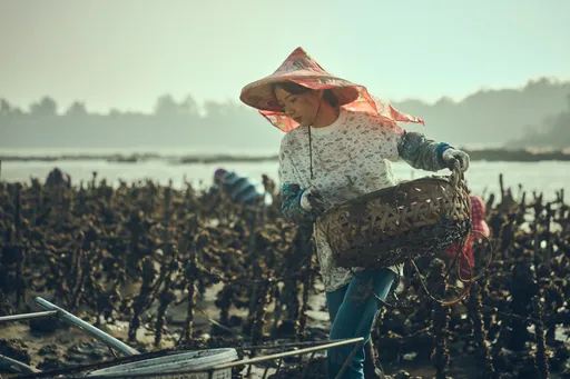 才認愛外國男友 郭雪芙海邊療癒傷痛樸素樣曝光