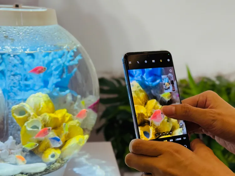 vivo X200系列加入長焦微距，呈現生活中更多細節的美麗。趙筱文攝影