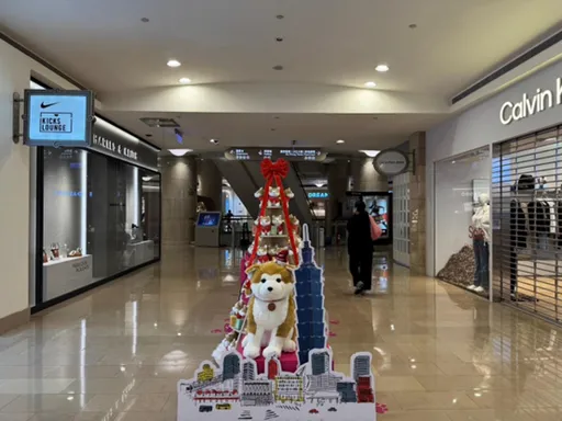 忠犬小八101歲生日快閃活動登場　台北101首次引進秋田文化