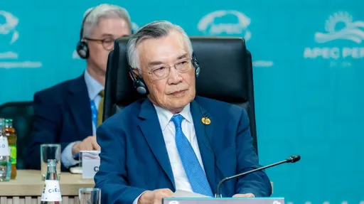 代表出席APEC年會!林信義:與習近平自然互動