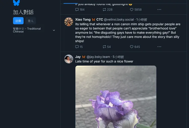 Bluesky的介面99%類似X平台。