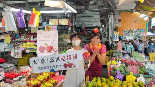 早起鳥兒有韓國蘋果吃 台韓太「蘋」盛世交流會北高快閃嚐鮮
