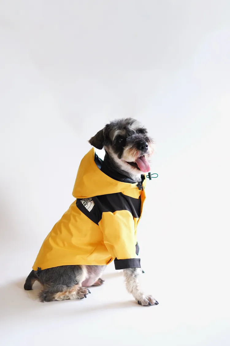 TNF 狗狗衝鋒衣。品牌提供