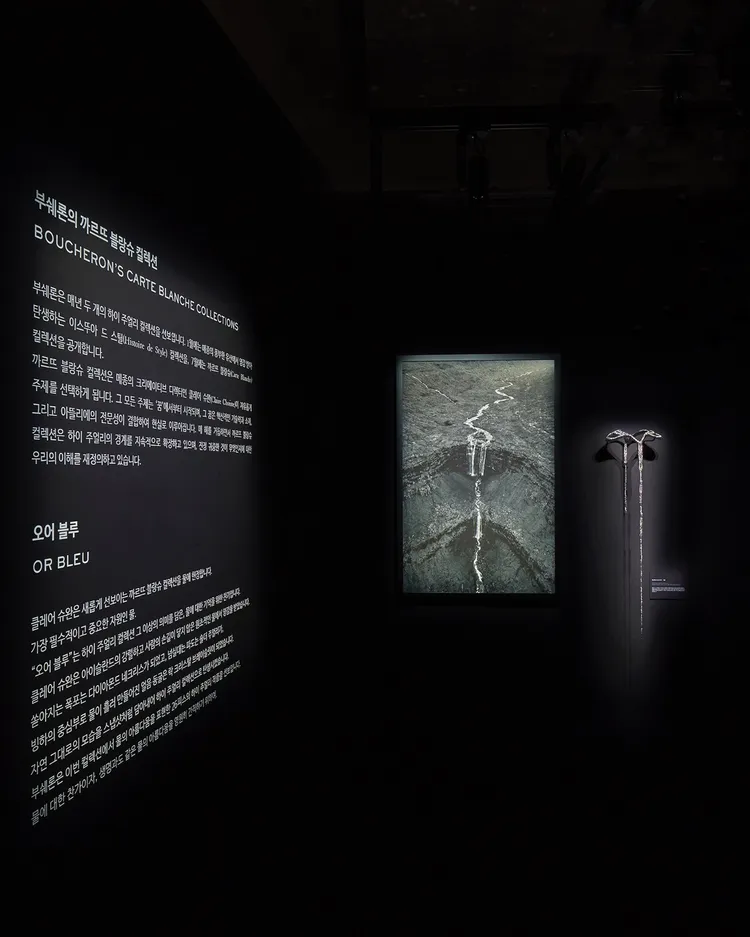 BOUCHERON Carte Blanche, Or Bleu高級珠寶展。品牌提供