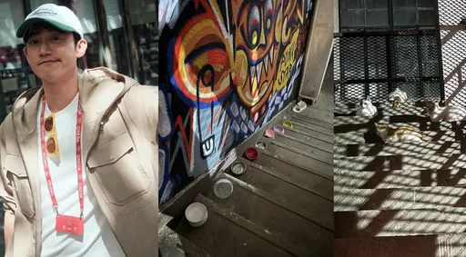 吳慷仁見上海店家餵食流浪貓誇有愛 網友不認同「是造孽」