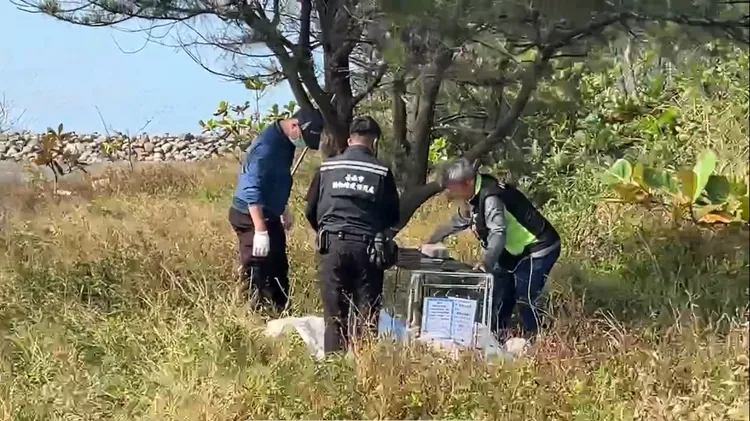 台南市動保處派員誘捕犬隻。民眾提供