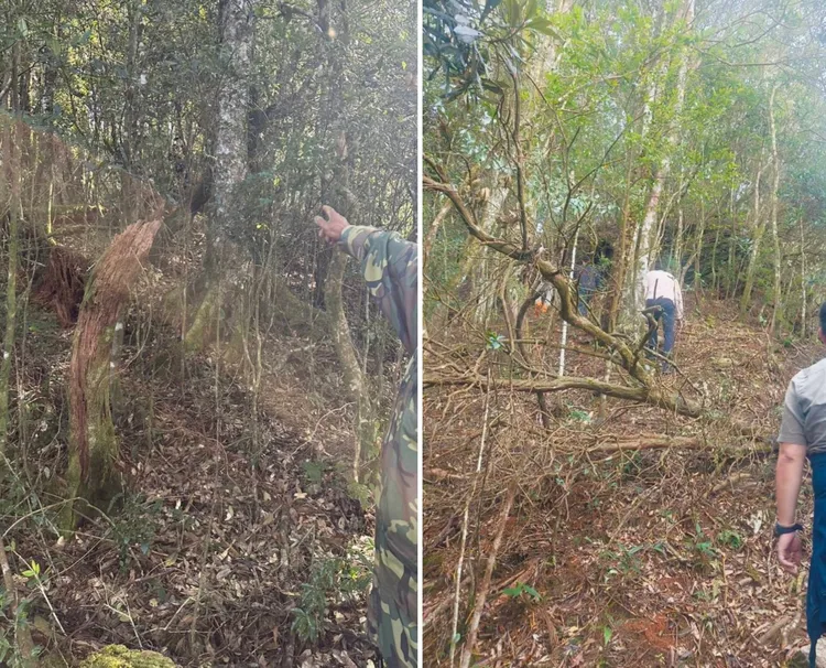 案發地點為干卓萬群峰登山口往三來稜山林道約3公里處。民眾提供