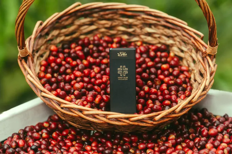  Ninety Plus 在巴拿馬擁有近一千公頃的咖啡林，咖啡豆持續在國際咖啡專業賽事中寫下各種傳奇。業者提供