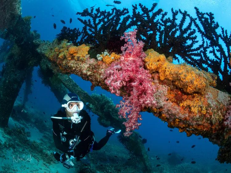 潛水攝影師Nico Calo在當地潛點Japanese Garden，為Peggy留下紀念照。Dive NorthMin臉書提供，Nico Calo攝影
