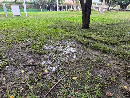 颱風過境草皮溼答答!不利「草地放電」 台中市民野餐日延至11/10