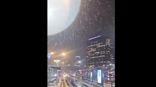 首爾遭遇半世紀來最嚴重暴雪 數百航班停飛